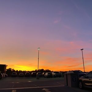 Meet your Posher, Riley